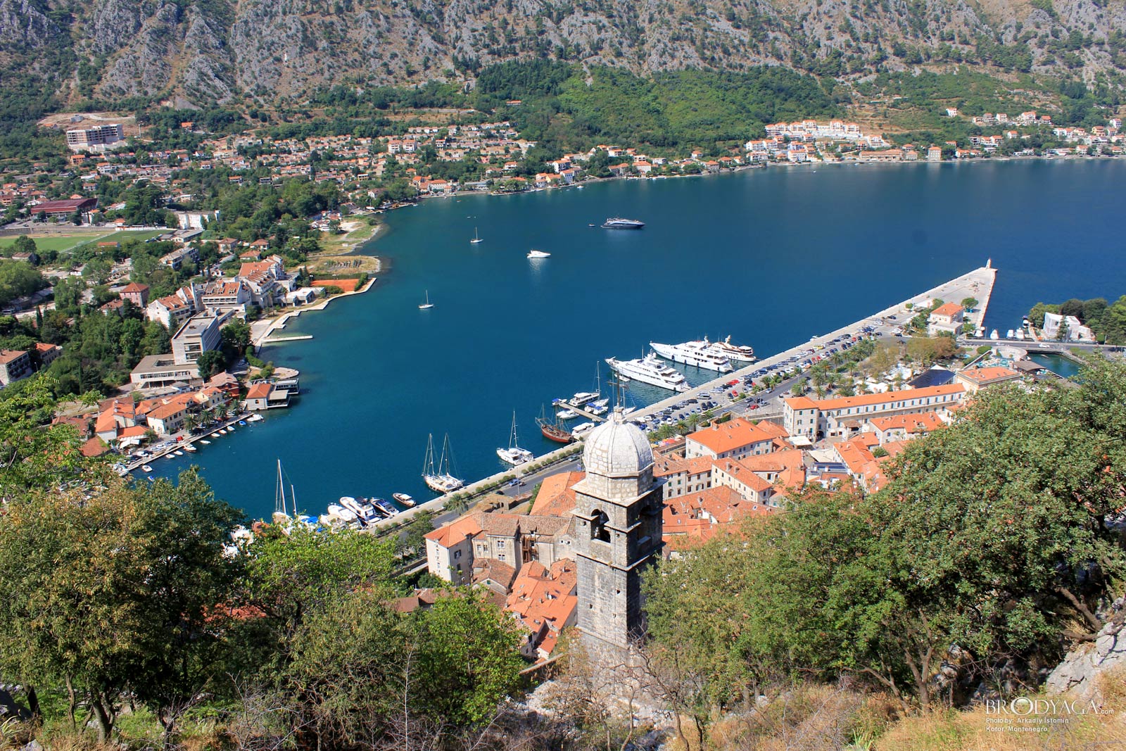 Kotor